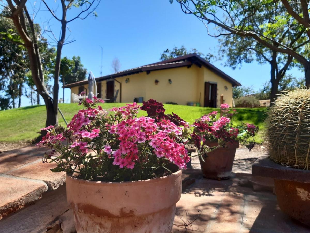 Agriturismo La Sorgente Fonteblanda Eksteriør billede