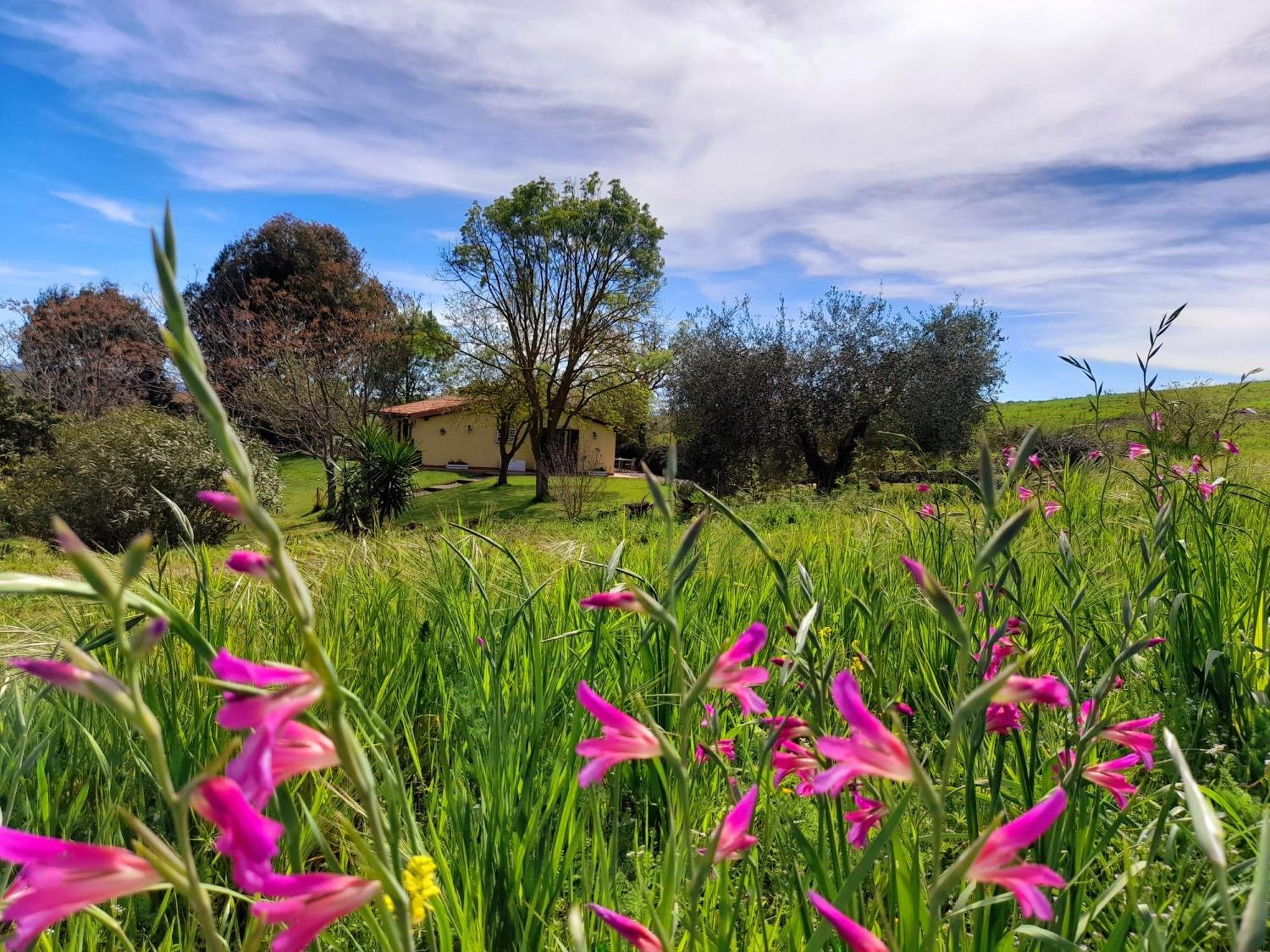 Agriturismo La Sorgente Fonteblanda Eksteriør billede