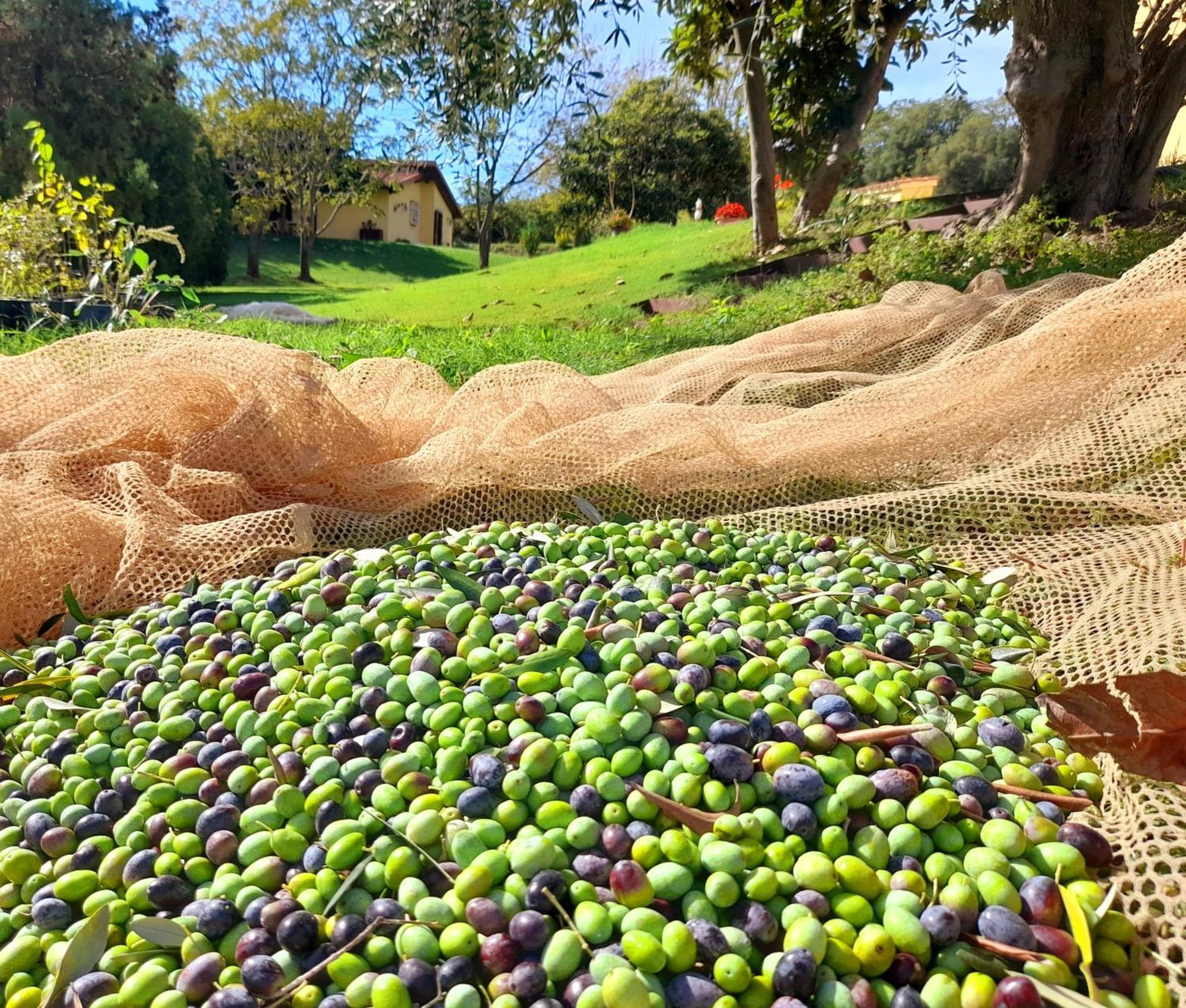 Agriturismo La Sorgente Fonteblanda Eksteriør billede